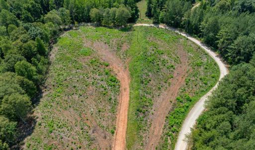 Photo #45 of HUNTING LODGE RD, SCHUYLER, VA 41.9 acres