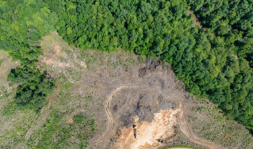 Photo #38 of HUNTING LODGE RD, SCHUYLER, VA 41.9 acres