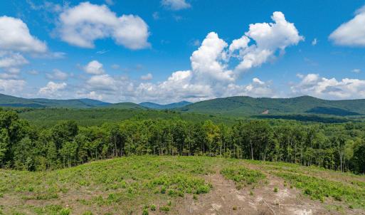 Photo #52 of HUNTING LODGE RD, SCHUYLER, VA 41.9 acres