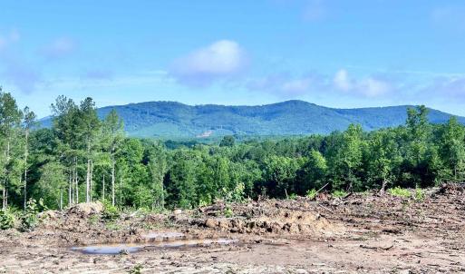 Photo #58 of HUNTING LODGE RD, SCHUYLER, VA 41.9 acres