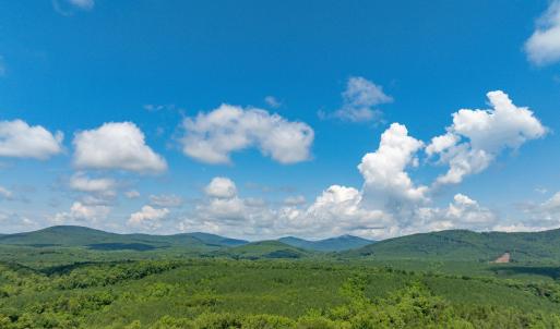 Photo #54 of HUNTING LODGE RD, SCHUYLER, VA 41.9 acres