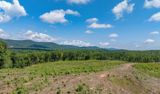 Photo #53 of HUNTING LODGE RD, SCHUYLER, VA 41.9 acres