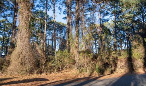 Photo #2 of Lot 1098 AMIDSHIP DR, GREENBACKVILLE, VA 9,750.0 acres