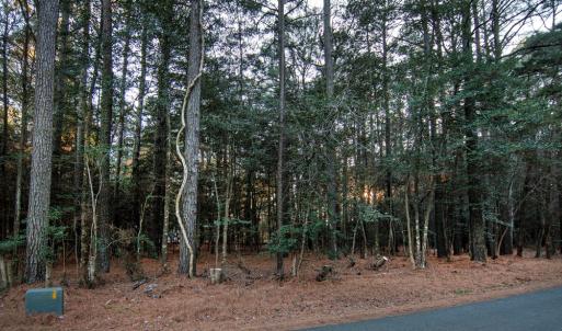 Photo #2 of Lot 827 CASTAWAY DR, GREENBACKVILLE, VA 9.0 acres