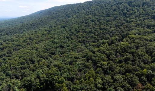 Photo #12 of TBD BRUNK SPRING LN, BROADWAY, VA 9.3 acres