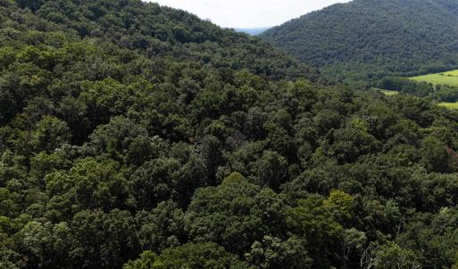 Photo #15 of TBD BRUNK SPRING LN, BROADWAY, VA 9.3 acres