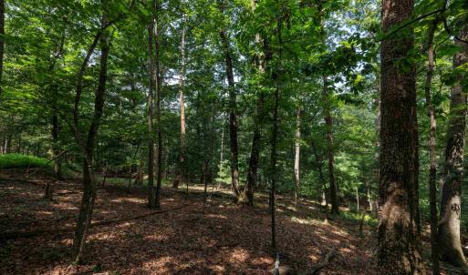 Photo #9 of TBD BRUNK SPRING LN, BROADWAY, VA 9.3 acres