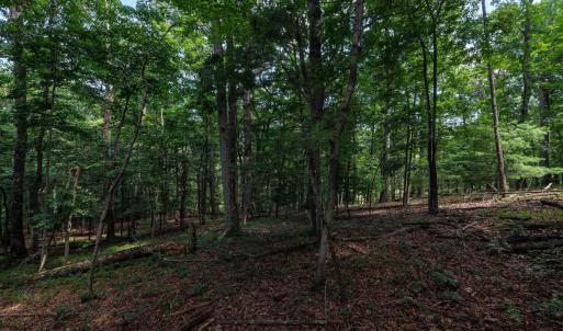 Photo #6 of TBD BRUNK SPRING LN, BROADWAY, VA 9.3 acres