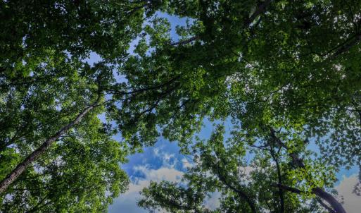 Photo #10 of TBD BRUNK SPRING LN, BROADWAY, VA 9.3 acres