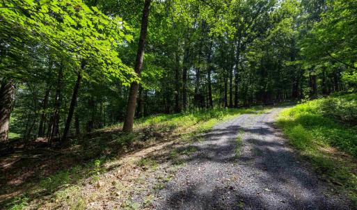 Photo #4 of TBD BRUNK SPRING LN, BROADWAY, VA 9.3 acres