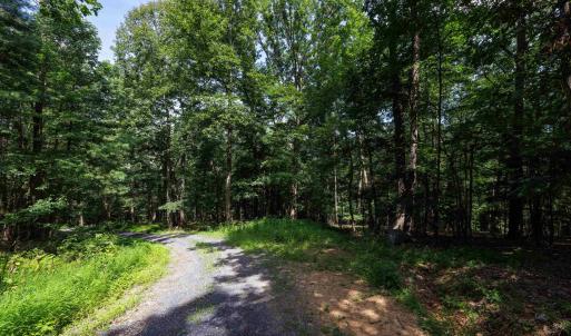 Photo #1 of TBD BRUNK SPRING LN, BROADWAY, VA 9.3 acres