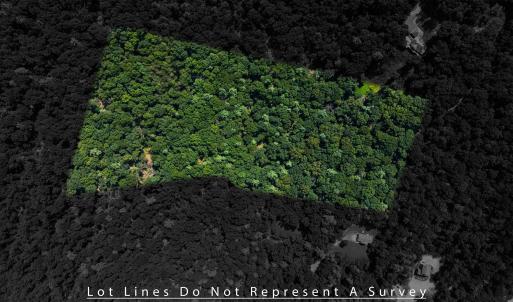 Photo #2 of TBD BRUNK SPRING LN, BROADWAY, VA 9.3 acres
