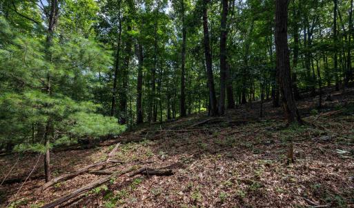 Photo #7 of TBD BRUNK SPRING LN, BROADWAY, VA 9.3 acres