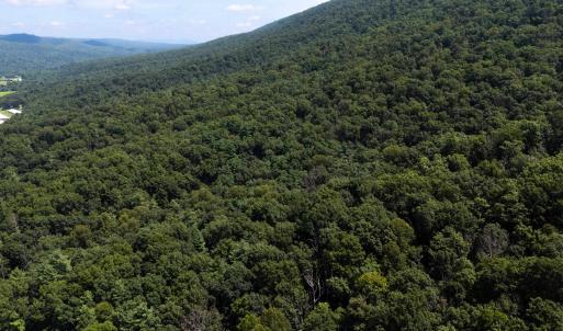 Photo #13 of TBD BRUNK SPRING LN, BROADWAY, VA 9.3 acres