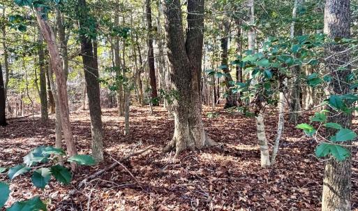 Photo #2 of Lot 1593 HIGH SEA DR, GREENBACKVILLE, VA 0.2 acres