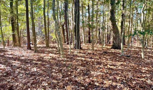Photo #3 of Lot 1593 HIGH SEA DR, GREENBACKVILLE, VA 0.2 acres
