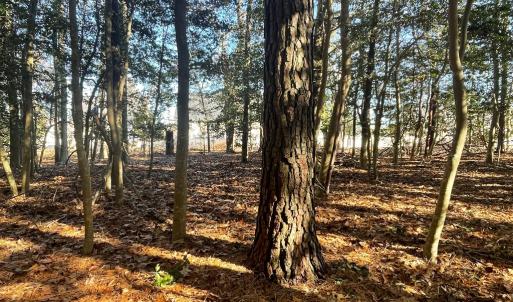 Photo #4 of Lot 1593 HIGH SEA DR, GREENBACKVILLE, VA 0.2 acres