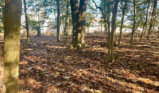 Photo #5 of Lot 1593 HIGH SEA DR, GREENBACKVILLE, VA 0.2 acres