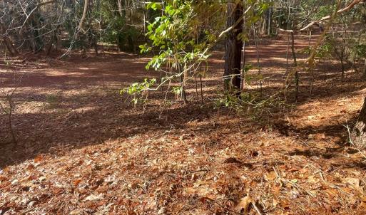 Photo #6 of Lot 1593 HIGH SEA DR, GREENBACKVILLE, VA 0.2 acres