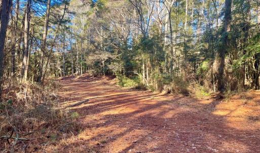 Photo #7 of Lot 1593 HIGH SEA DR, GREENBACKVILLE, VA 0.2 acres