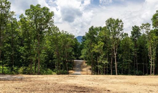Photo #1 of 15 MONT VIEW LN, LURAY, VA 3.1 acres