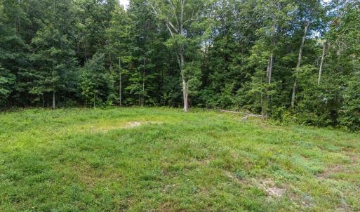 Photo #3 of TBD CRIMORA MINE RD, CRIMORA, VA 1.4 acres