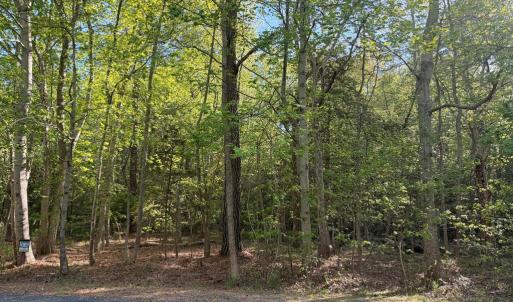 Photo #27 of Lot 81 NEPTUNE DR, GREENBACKVILLE, VA 0.2 acres