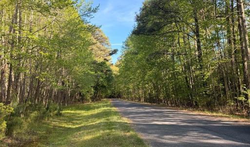 Photo #28 of Lot 81 NEPTUNE DR, GREENBACKVILLE, VA 0.2 acres