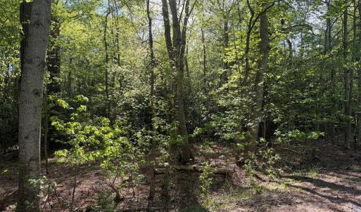 Photo #3 of Lot 81 NEPTUNE DR, GREENBACKVILLE, VA 0.2 acres