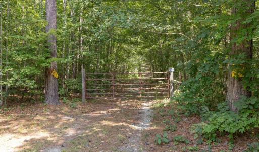 Photo #11 of Lots 1 & 2 CONSTITUTION RTE, SCOTTSVILLE, VA 40.1 acres