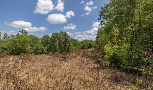 Photo #15 of Lots 1 & 2 CONSTITUTION RTE, SCOTTSVILLE, VA 40.1 acres