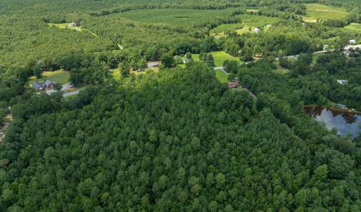 Photo #7 of Lots 1 & 2 CONSTITUTION RTE, SCOTTSVILLE, VA 40.1 acres