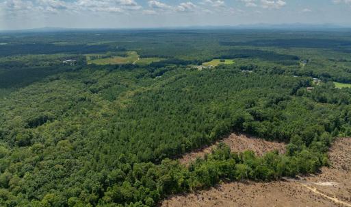 Photo #10 of Lots 1 & 2 CONSTITUTION RTE, SCOTTSVILLE, VA 40.1 acres