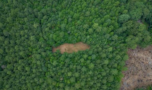 Photo #6 of Lots 1 & 2 CONSTITUTION RTE, SCOTTSVILLE, VA 40.1 acres