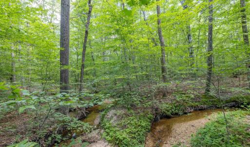 Photo #19 of Lots 1 & 2 CONSTITUTION RTE, SCOTTSVILLE, VA 40.1 acres