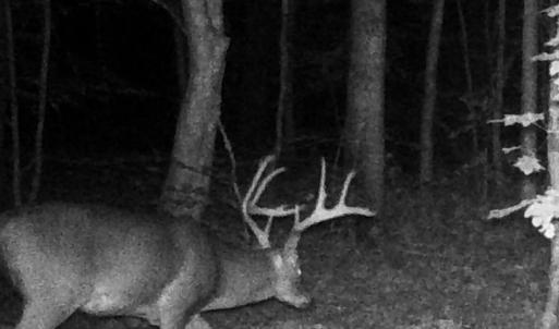 Photo #21 of Lots 1 & 2 CONSTITUTION RTE, SCOTTSVILLE, VA 40.1 acres
