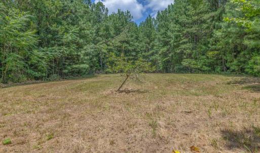 Photo #16 of Lots 1 & 2 CONSTITUTION RTE, SCOTTSVILLE, VA 40.1 acres