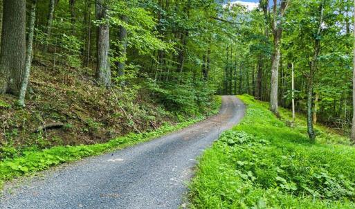 Photo #15 of Lots G37 & G3 LAKE RD, STANLEY, VA 1.8 acres