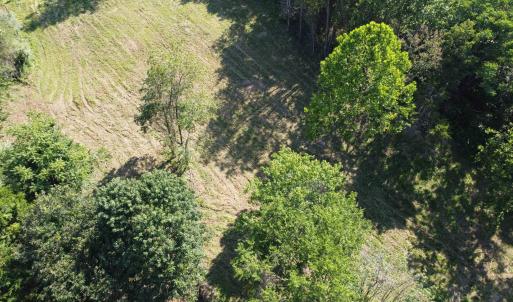 Photo #14 of HARPER VALLEY RD, LURAY, VA 8.2 acres