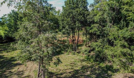 Photo #13 of HARPER VALLEY RD, LURAY, VA 8.2 acres