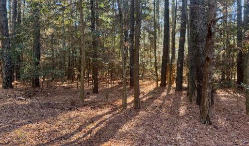Photo #2 of Lot 831 CASTAWAY DR, GREENBACKVILLE, VA 9.0 acres