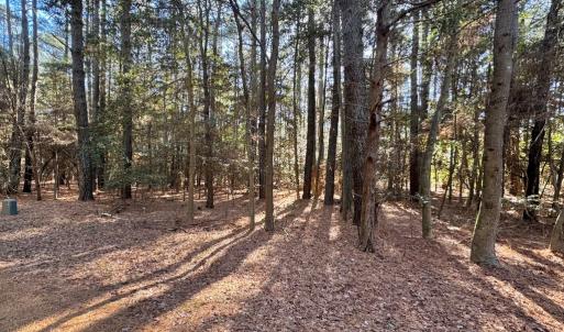 Photo #3 of Lot 831 CASTAWAY DR, GREENBACKVILLE, VA 9.0 acres