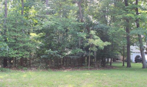 Photo #2 of 1856 CAPTAINS CORRIDOR, GREENBACKVILLE, VA 64.0 acres