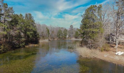 Photo #5 of 1856 CAPTAINS CORRIDOR, GREENBACKVILLE, VA 64.0 acres
