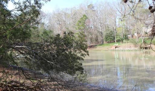 Photo #6 of 1856 CAPTAINS CORRIDOR, GREENBACKVILLE, VA 64.0 acres