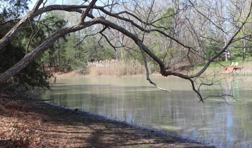 Photo #7 of 1856 CAPTAINS CORRIDOR, GREENBACKVILLE, VA 64.0 acres