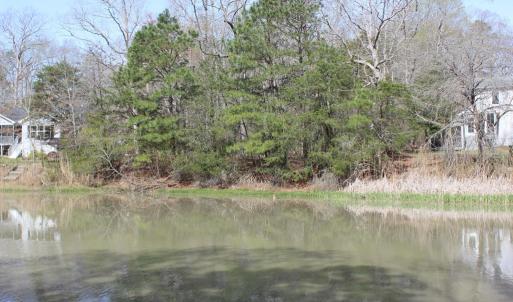 Photo #8 of 1856 CAPTAINS CORRIDOR, GREENBACKVILLE, VA 64.0 acres