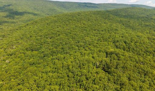 Photo #7 of MUDDY RUN RD, WILLIAMSVILLE, VA 40.8 acres