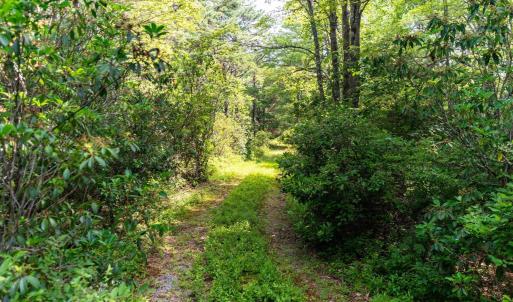 Photo #20 of MUDDY RUN RD, WILLIAMSVILLE, VA 40.8 acres