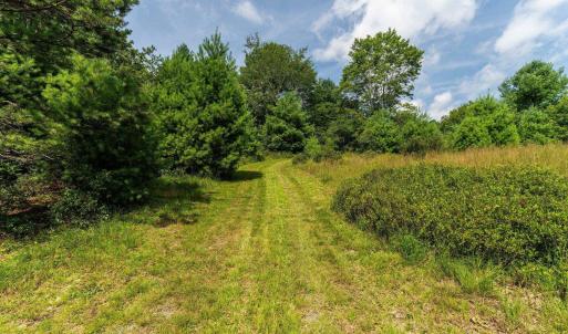 Photo #18 of MUDDY RUN RD, WILLIAMSVILLE, VA 40.8 acres